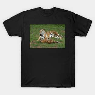 Tiger Mom and Cub T-Shirt